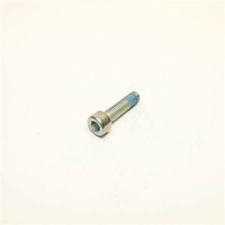 Skruv M5x20mm